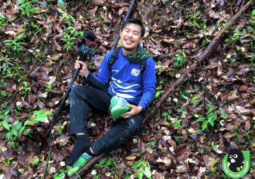 Regarding the Pain of Others and Ourselves through Andrew Han’s Films