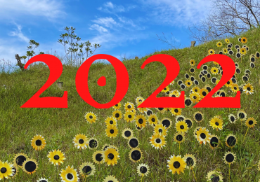 2022: The Year in Artists, Exhibitions, Galleries, and Events