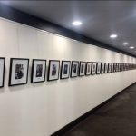 Professional-Picture-Hanging-Gallery-36-1024x765